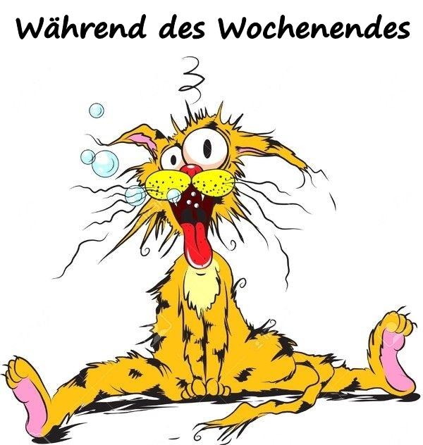 Während des Wochenendes