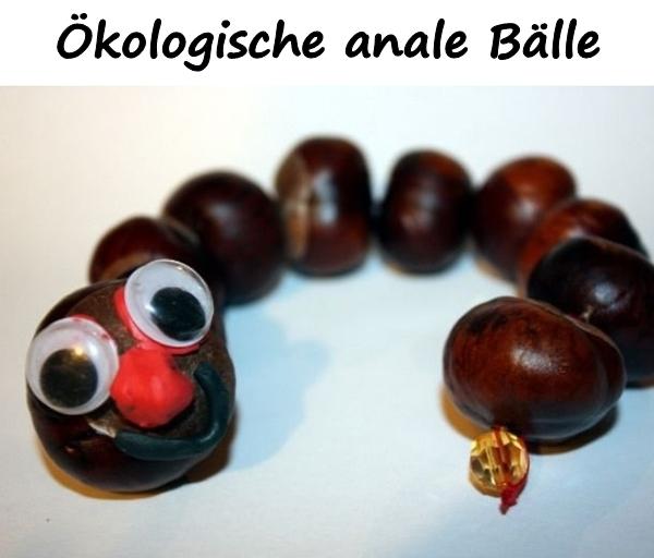 Ökologische anale Bälle