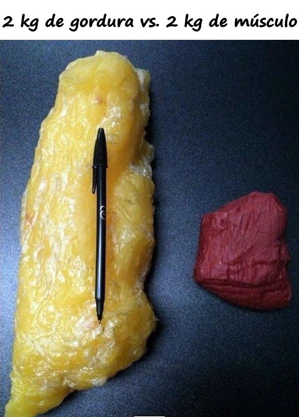 2 kg de gordura vs. 2 kg de músculo