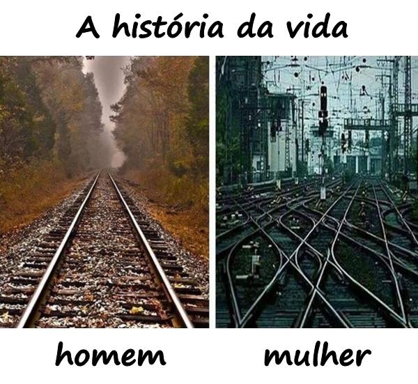 A história da vida