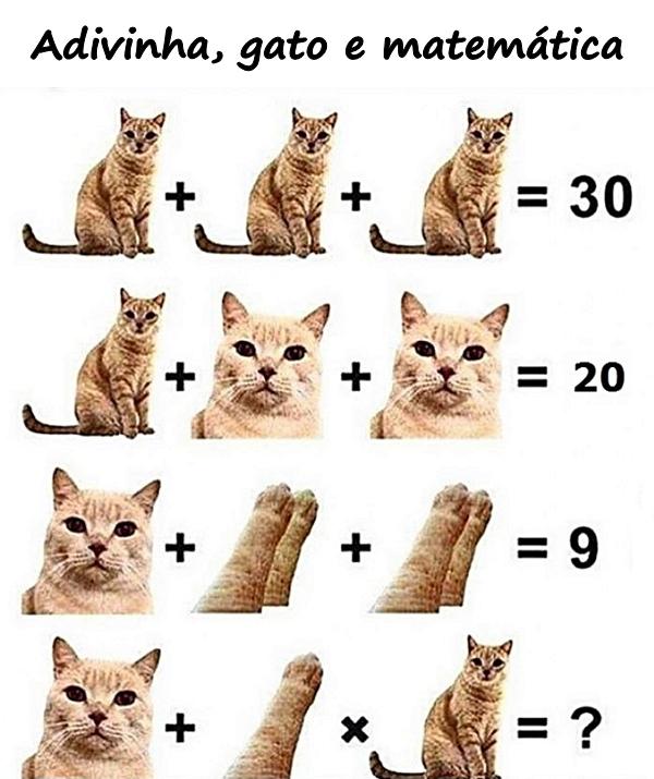 Adivinha, gato e matemática