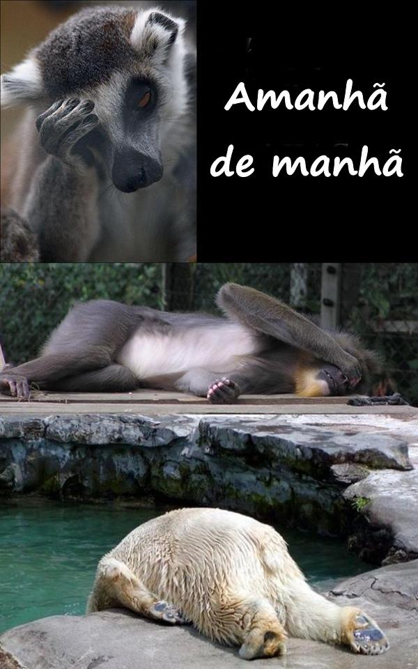 Amanhã de manhã