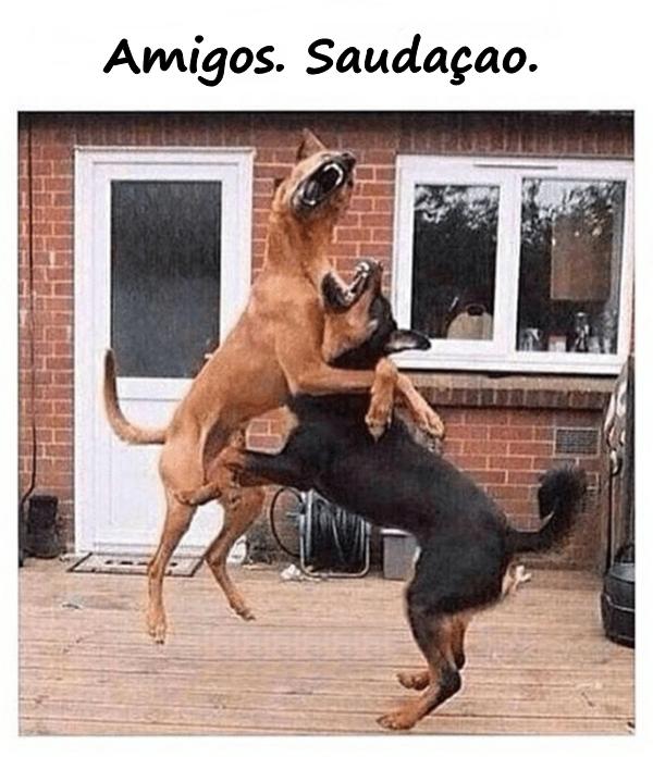 Amigos. Saudação.