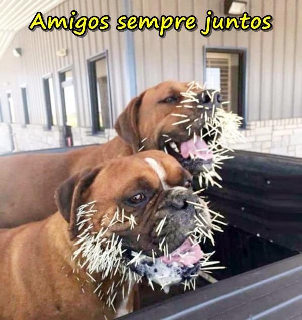 Amigos sempre juntos