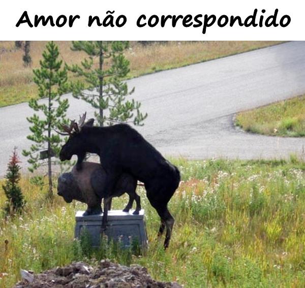 amor não correspondido