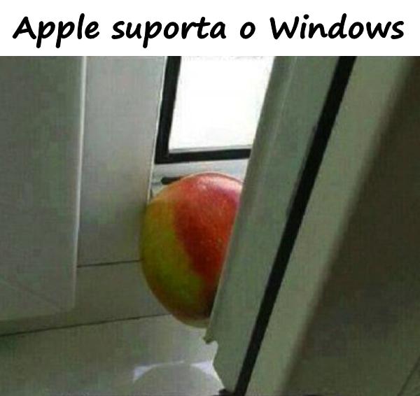 Apple suporta o Windows