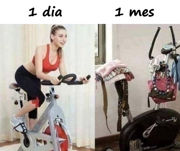 Bicicleta - 1 dia vs. 1 mes