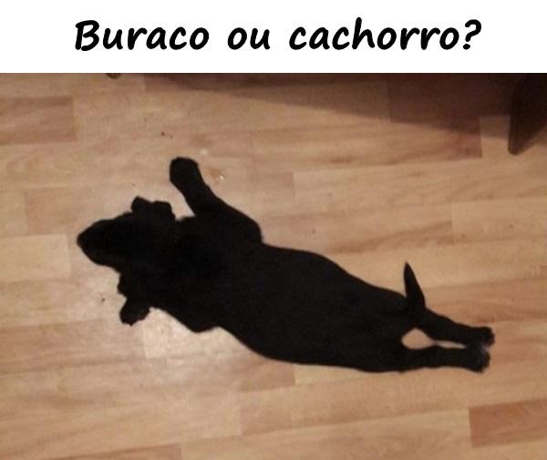 Buraco ou cachorro?