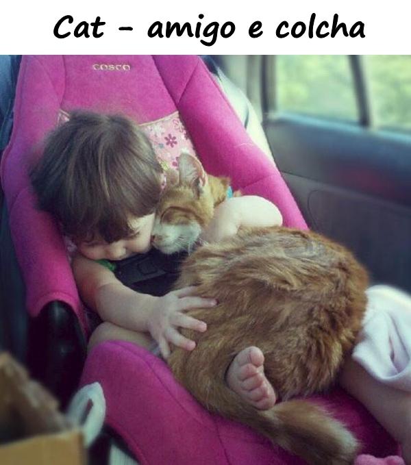 Cat - amigo e colcha