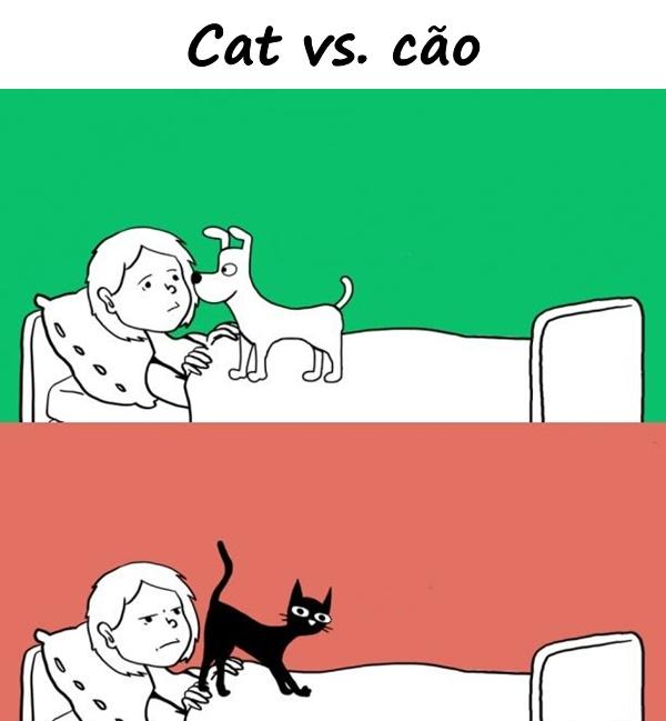 Cat vs. cão