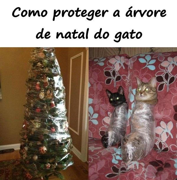 Como proteger a árvore de natal do gato