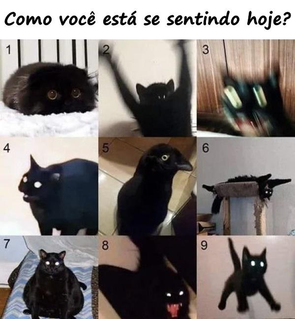 Como você está se sentindo hoje?