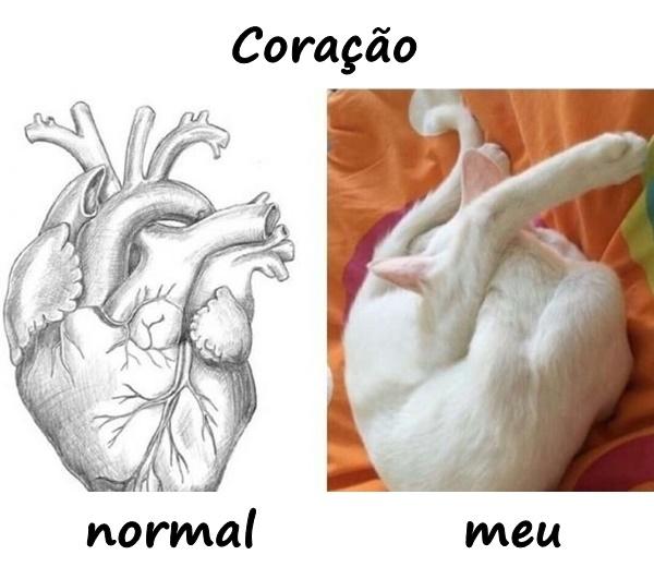 Coração - normal vs. meu