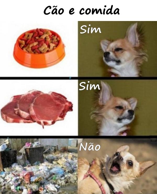 Cão e comida