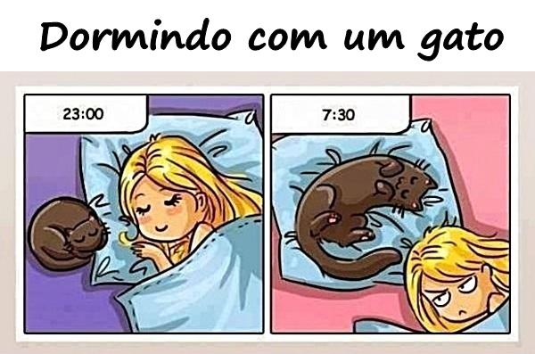 Dormindo com um gato