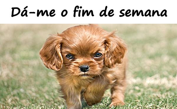 Dá-me o fim de semana