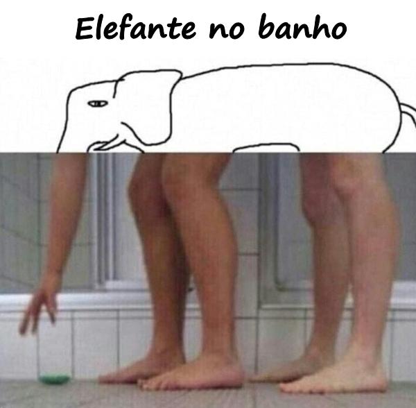 Elefante no banho