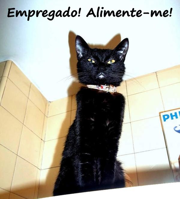 Empregado! Alimente-me!