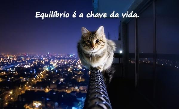 Equilíbrio é a chave da vida.