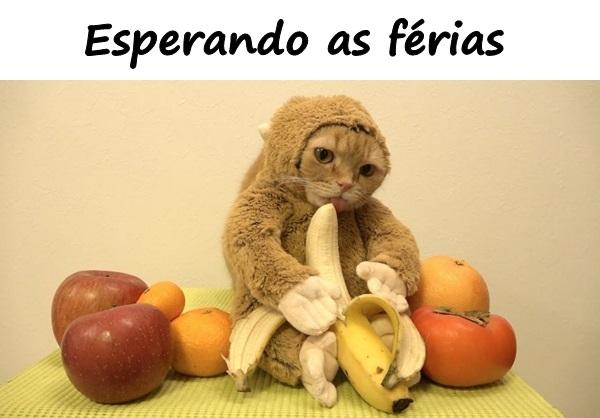 Esperando as férias