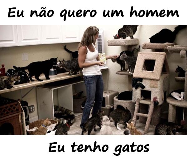 Eu não quero um homem. Eu tenho gatos.