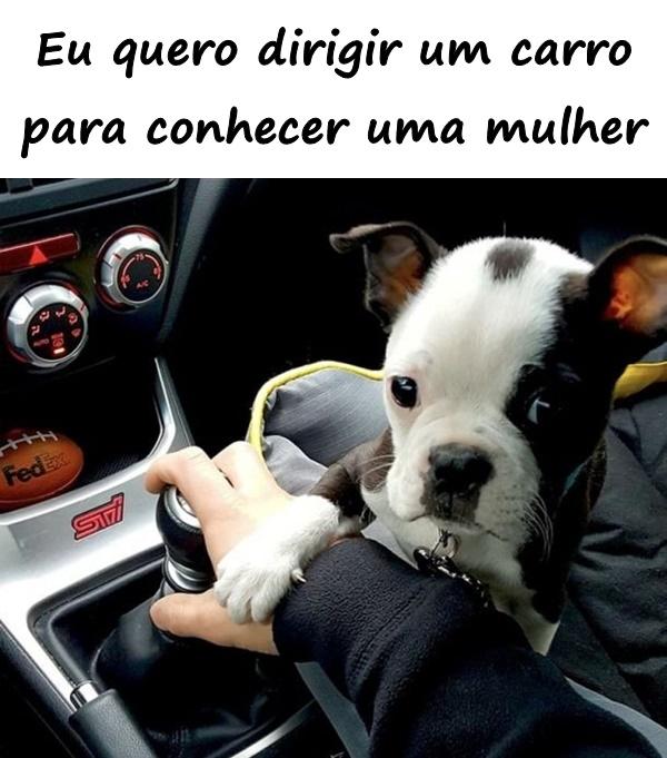 Eu quero dirigir um carro para conhecer uma mulher