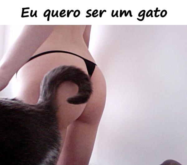 Eu quero ser um gato