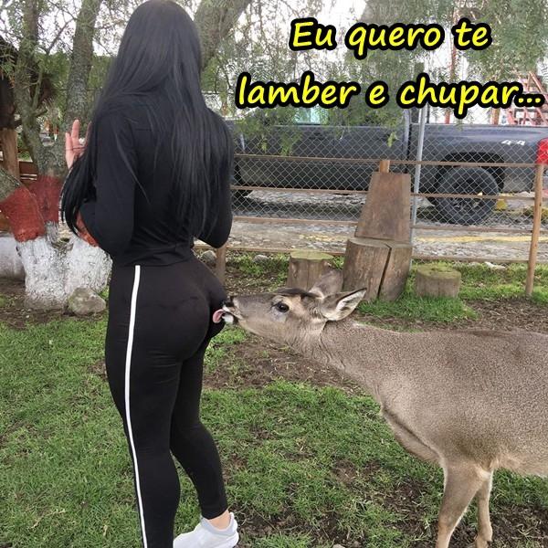 Eu quero te lamber e chupar...