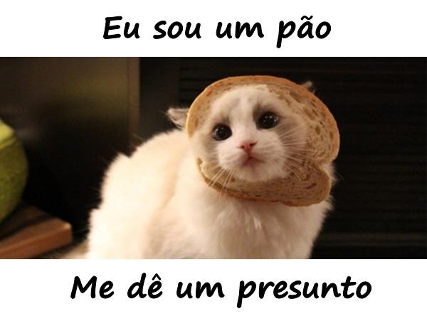 Eu sou um pão. Me dê um presunto