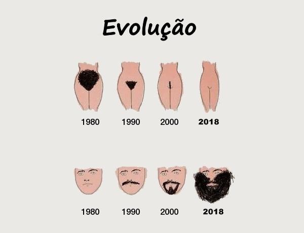 Evolução
