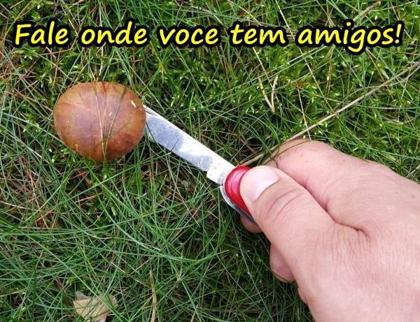 Fale onde você tem amigos!