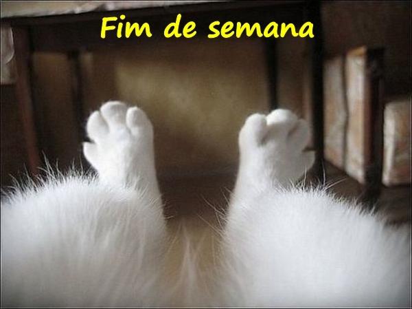 Fim de semana