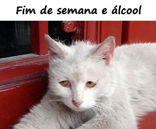 Fim de semana e álcool