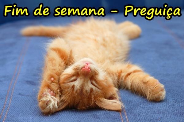 Fim de semana - Preguiça