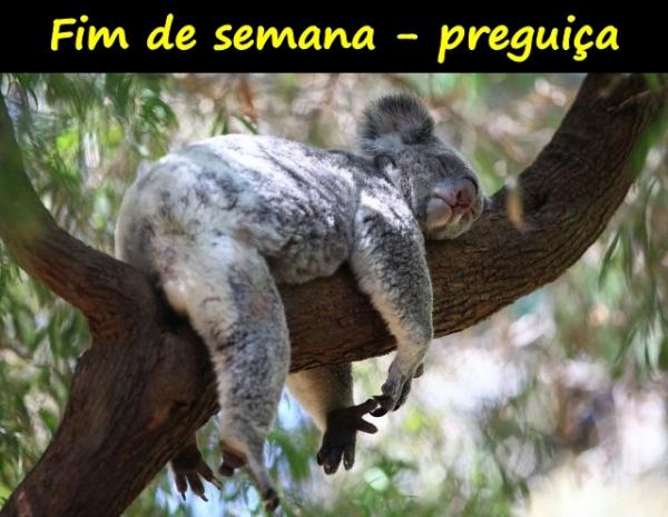 Fim de semana - preguiça