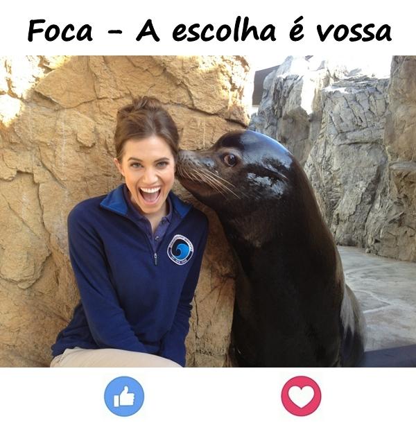 Foca - A escolha é vossa