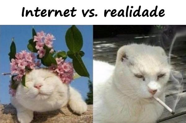 Foto - Internet vs. realidade