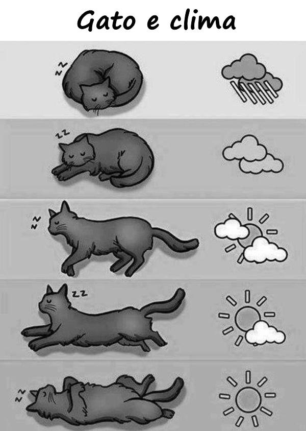 Gato e clima