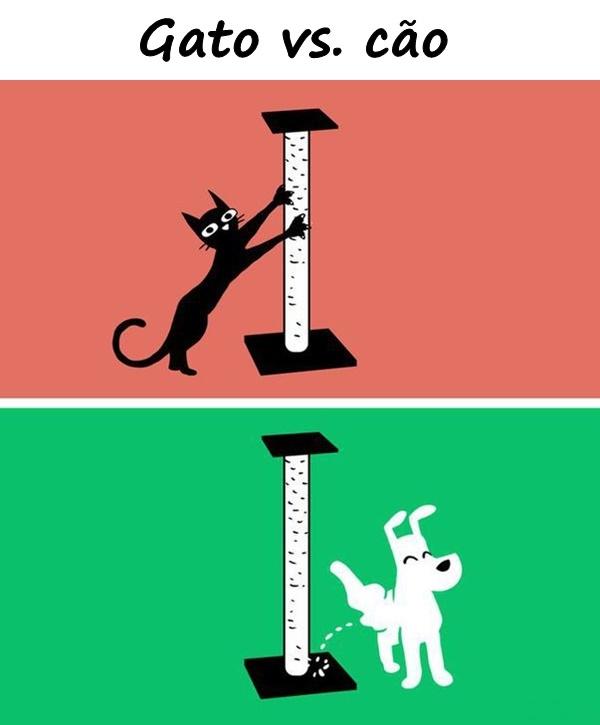 Gato vs. cão