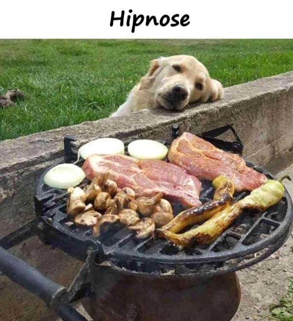 Hipnose