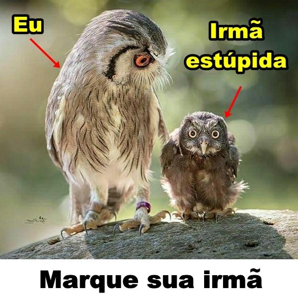 Irmã estúpida. Marque sua irmã.