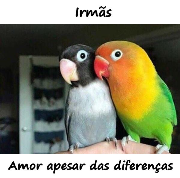 Irmãs. Amor apesar das diferenças.