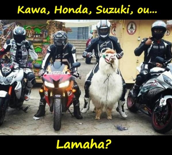 Kawa, Honda, Suzuki, ou... Lamaha?