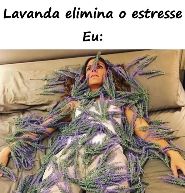 Lavanda elimina o estresse