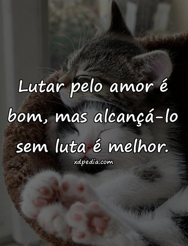 Lutar pelo amor é bom, mas alcançá-lo sem luta é melhor.