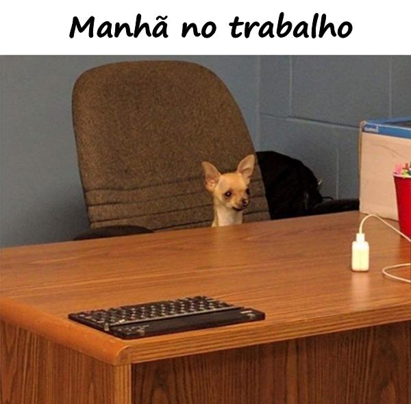 Manhã no trabalho