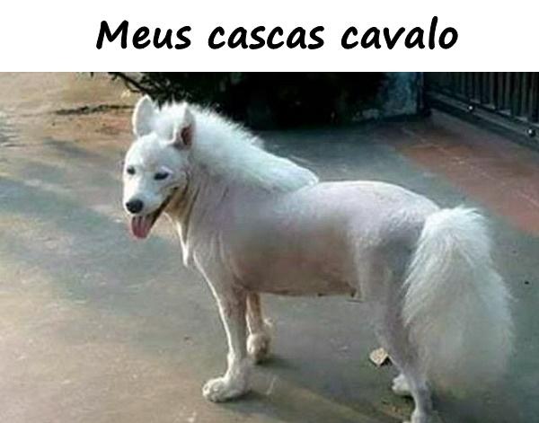 Meus cascas cavalo