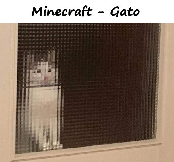 Minecraft - Gato