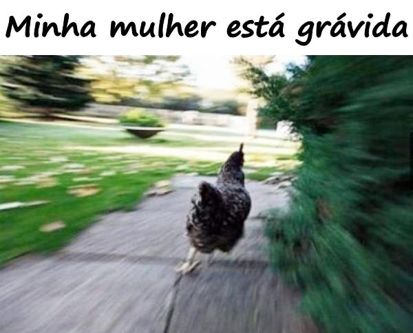 Minha mulher está grávida