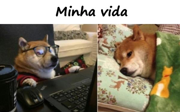 Minha vida